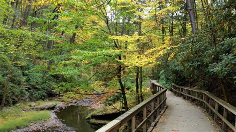 How to Find Fall Foliage in the Poconos – Dang Travelers