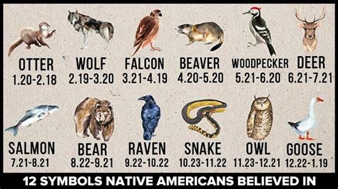 12 American Native Symbols Which May Help You Understand Yourself On A ...