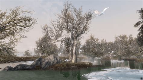 Morthal swamp : skyrim