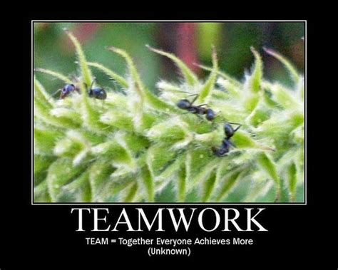 Funny Teamwork Quotes And Sayings. QuotesGram