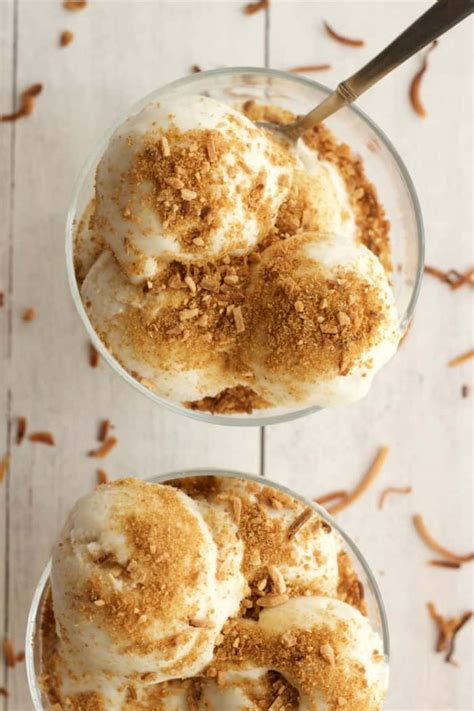 Vegan Coconut Ice Cream - Loving It Vegan