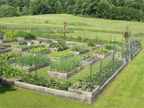 Harvest Freshness in Your Own Raised Bed Farm