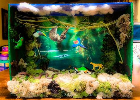 30 best Shoebox Dioramas images on Pinterest | Rainforest project, School projects and Baby crafts