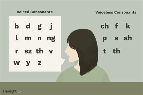 Voiced vs. Voiceless Consonants