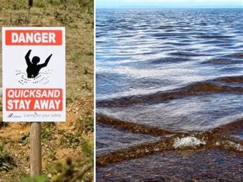 Watch Out! 40 Warning Signs Nature Helpfully Gives Us Before ...