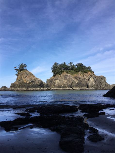 Secret Beach on the Southern Oregon coast | Southern oregon coast, Southern oregon, Oregon coast