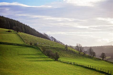 High on a Hill Photograph by Melanie Grimes - Fine Art America