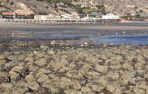 Malibu Lagoon State Beach in Malibu, CA - California Beaches