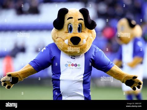 Birmingham City mascot Beau Brummie Stock Photo - Alamy