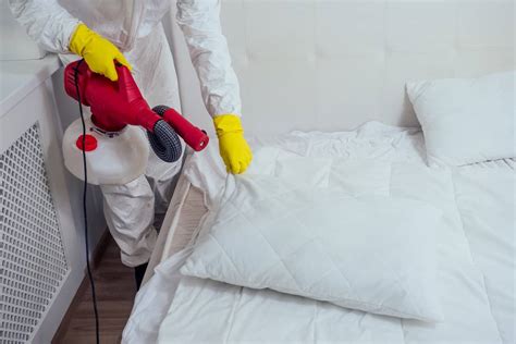 Fast Bed Bug Control Dublin, Ireland | Ultimate Pest Control