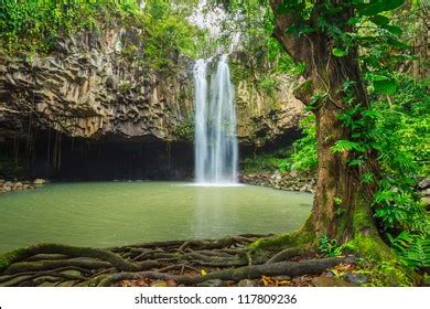 Beautiful Tropical Waterfall Hawaii Stock Photo 117809236 | Shutterstock