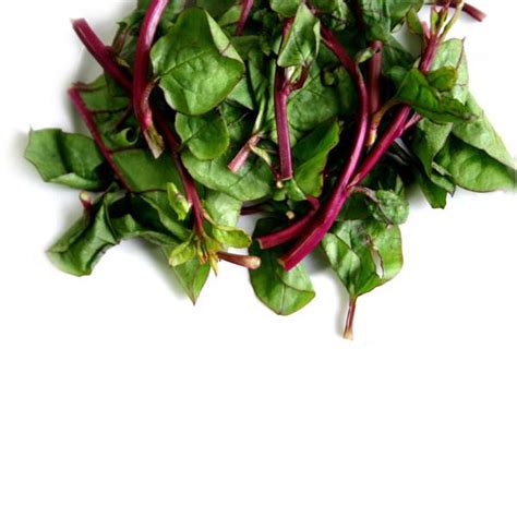 Spinach, Malabar / Vine Spinach (250 grams) | The Green Grocer Manila