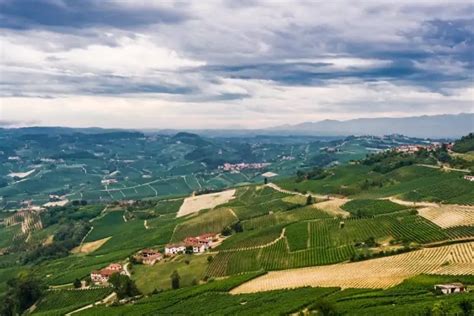 A Comprehensive Guide to the Top-Rated Barolo Wines - Vinfolio Blog