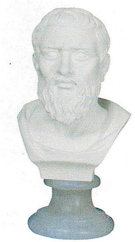 Bust of Plato Marble Sculpture