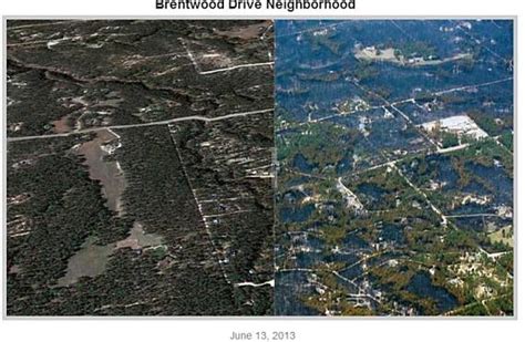 Black Forest Fire, before and after - Wildfire Today