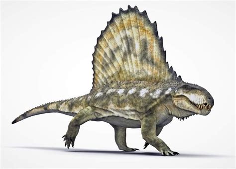 Dimetrodon Prehistoric Wildlife, Prehistoric World, Prehistoric Creatures, Dinosaur Drawing ...