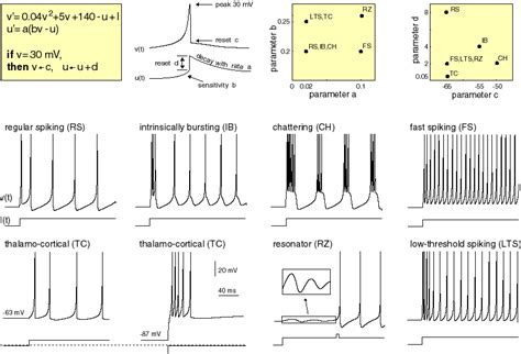 Neuron Models