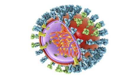 What Bird Flu Reminds Us About Influenza Pandemics | MedPage Today