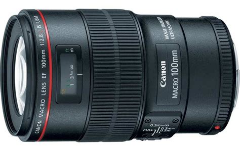 Canon 100mm f/2.8L Macro Lens (In-Depth Review)