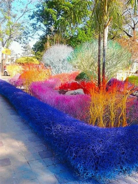 Colourful Campus of Thailand's Rangsit University