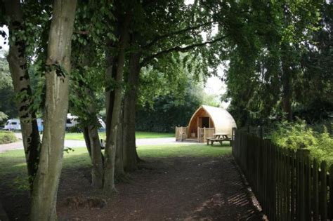 Whitemead Forest Park • Camping & Caravanning UK