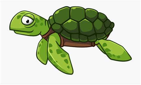 Free Turtle Clipart, Download Free Turtle Clipart png images, Free ClipArts on Clipart Library