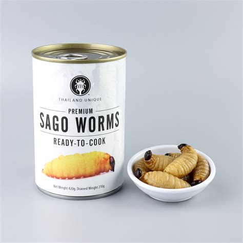 Canned Sago Worms in brine