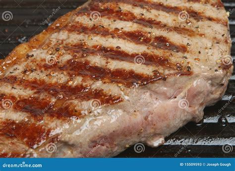 Steak in Griddle Pan stock image. Image of seasoning - 15509593