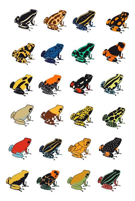 Templating for Poison-Dart Frogs Illustrations :: Behance