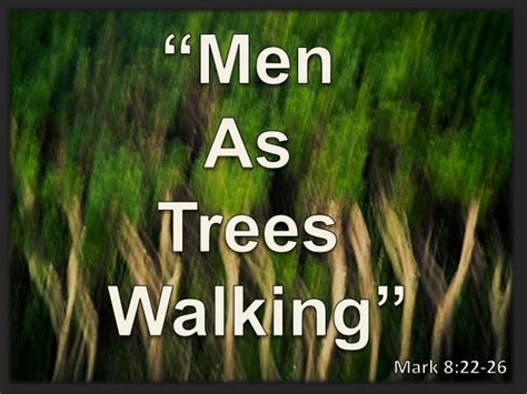 Men Like Trees Walking