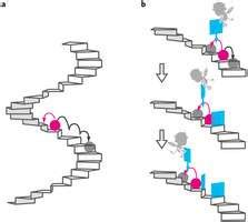 Maxwell's demon demonstration turns information into energy