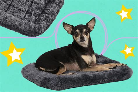 Get this dog crate bed for just $5 at Amazon