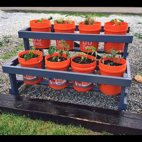 5 gallon bucket gardening stand | Bucket gardening, Raised container garden, Container gardening