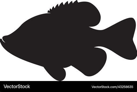 Crappie fish fishing template Royalty Free Vector Image