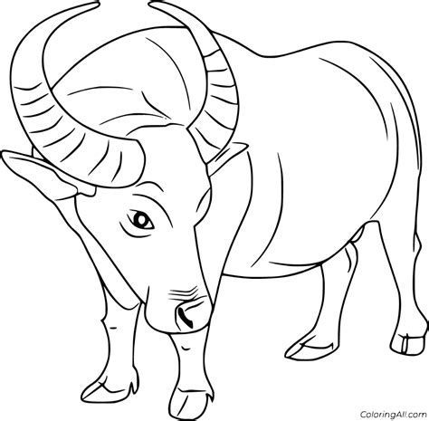 15 free printable Water Buffalo coloring pages in vector format, easy to print from any device ...