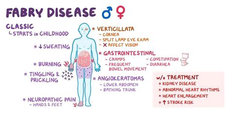 Fabry disease (NORD): Video, Anatomy & Definition | Osmosis