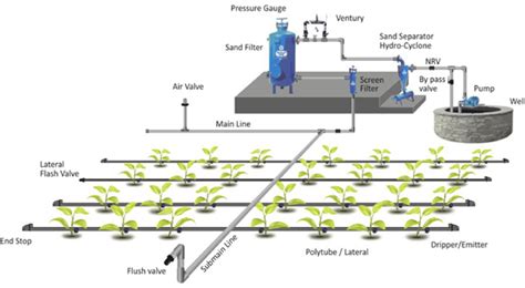 Plantations International Drip Irrigation Systems