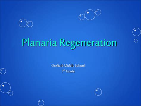 Planaria Regeneration - Parkland Science Fair