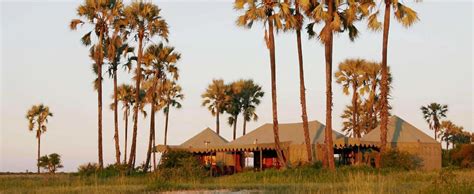 A List of The Top 5 Safari Lodges in Botswana for 2019