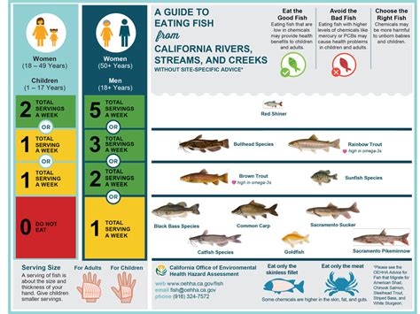 Fishing in California Rivers, Streams, and Creeks? Follow the New ...