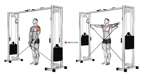 Cable Lateral Raise - Home Gym Review