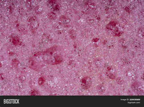 Sponge Detail Texture Image & Photo (Free Trial) | Bigstock