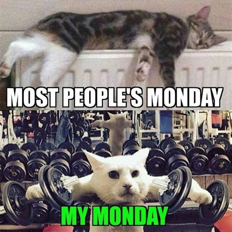 Forget doing delts on Caturday. Do'em on Monday. No shoulder pads ...