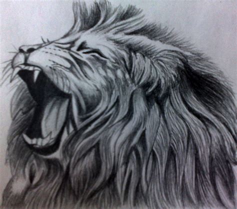 Roaring Lion Pencil Drawing - bestpencildrawing