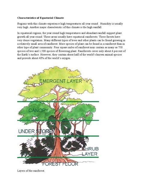 Characteristics of Equatorial Climate | PDF | Rainforest | Trees