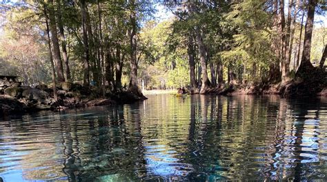 Visit High Springs: Best of High Springs Tourism | Expedia Travel Guide