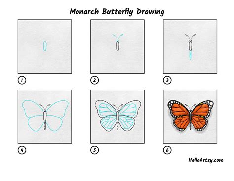 Monarch Butterfly Drawing - HelloArtsy