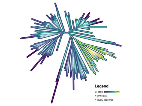 TreeViewer: flexible, modular software to visualise and manipulate phylogenetic trees