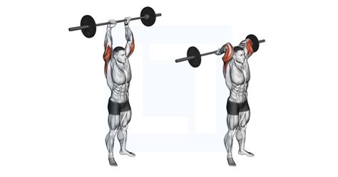 Barbell Standing Overhead Triceps Extension - Guide, Benefits, and Form