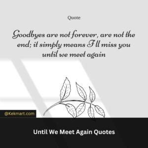 Until We Meet Again Quotes: Heartfelt Quotes For Saying Goodbye - Kekmart